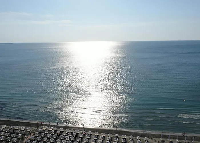 Avi Elegance Navodari